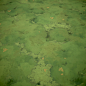 StylizedMoss_SubstanceDesigner