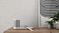 Blond | Duo Speaker : Duo is the result of a case study, conducted to pinpoint the immediate future of induction charging.