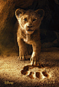 狮子王 The Lion King 海报