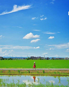 番茄大爷爷采集到场景