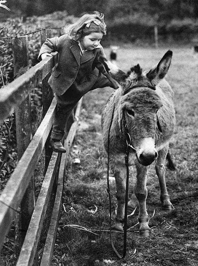 Donkey and me. 1944