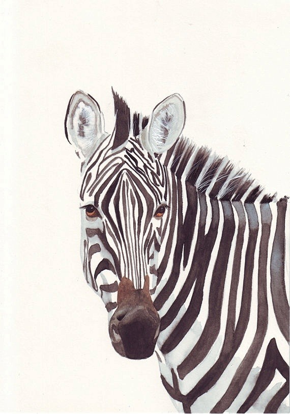 Zebra Painting