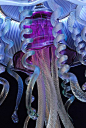 Ocean lights/jellyfish lamp - Wayne Harjula: 