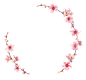 樱花png透明素材
