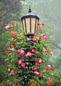 Garden lamppost