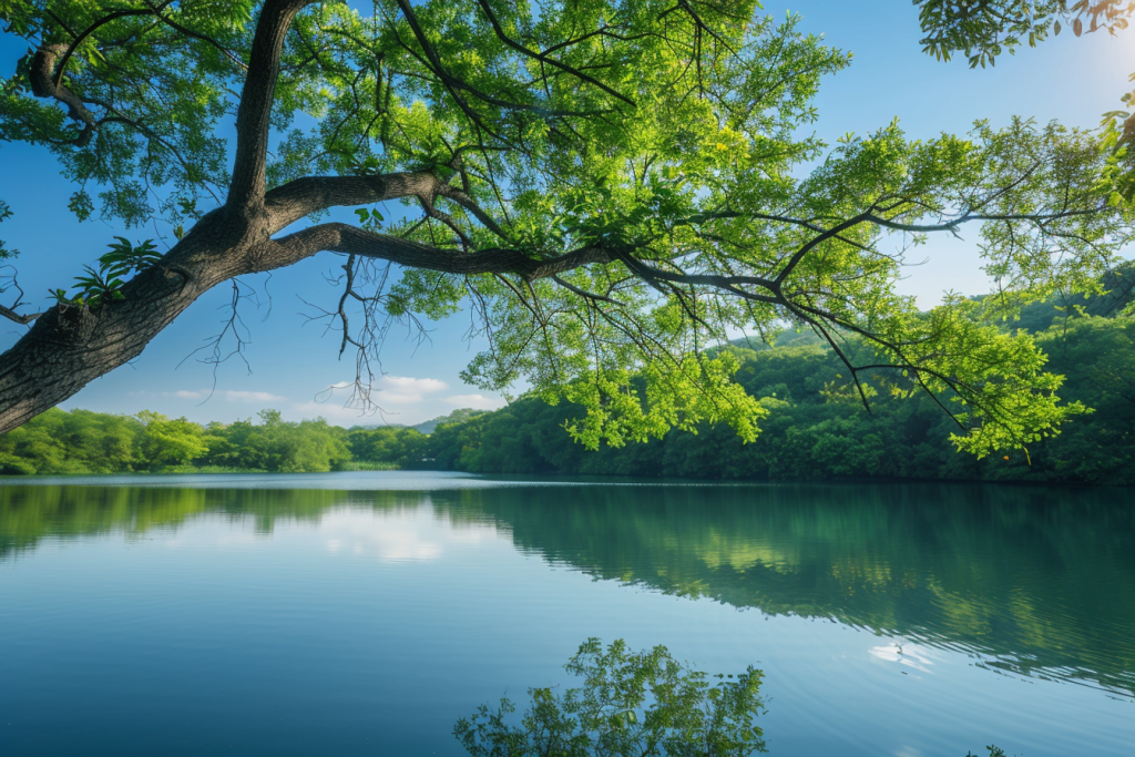 26426ff779a0b720aaf494fc12fd8289aa87c2aa155230-yIFxw9