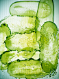 030517_cucumber153952.jpg