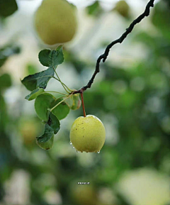 ꧁༺芒果君༻꧂采集到景色诱人