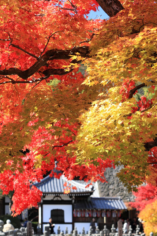 Adashino Nenbutsu-ji...