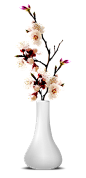 花瓶 (12)