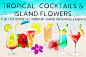 手绘水彩热带鸡尾酒花朵图案插图PNG免抠设计素材 Tropical Cocktails & Flower Set - 南岸设计网 nananps.com