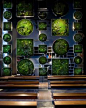 Monamour Natural Design in Casa Decor 2012 / Madrid - The Nature Collection / Vertical Garden with preserved plants