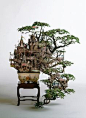 Bonsai tree house!