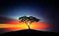 Sunset on the tree by Bess Hamiti on 500px