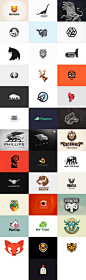 welcome to jungle - animal logos: 