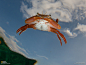 水面附近自由泳的螃蟹，在吉布提潜水时水下拍摄