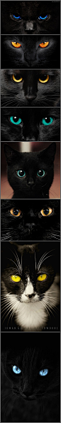 #宝石# 视觉  黑猫之眼
