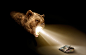 Energizer Linternas for Masai Art Company : Retoque digital Para TBWA Chile.