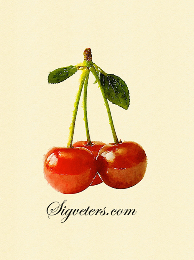 手绘水彩插画 食物水果系列---红樱桃三...