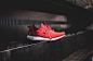 adidas,Ultra Boost  喜庆大红配色！adidas Ultra Boost “CNY” 首次曝光