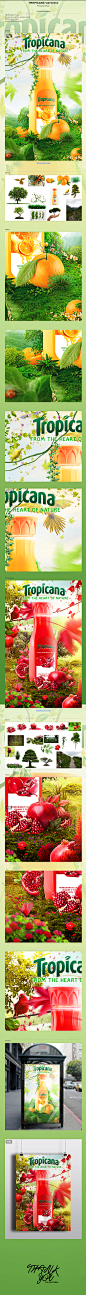 Tropicana-on-Behance