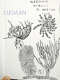 LUSIAAN