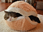 可爱的汉堡猫窝 - 一五一十「分享精致生活 | 传播新奇时尚」