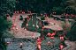 Flamingo love photo by Matthew Cabret (@majinmdub) on Unsplash : Download this photo by Matthew Cabret (@majinmdub)