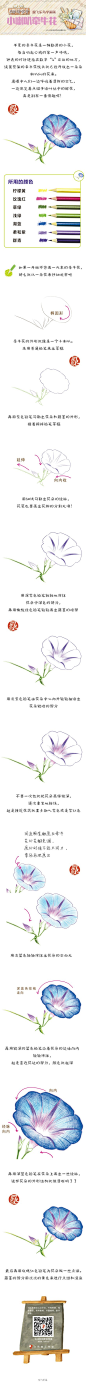 #每天10分钟，跟飞乐鸟学画画# 小喇叭牵牛花来啦，亲爱的同学们准备好度过美好的周末了吗？！下周的十分钟同学们想画什么主题呢？快快说说你的想法吧，也许下周就是你喜欢的主题哟！