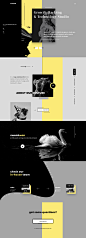 mimipod-digital-growth-agency-ux-ui-design-web-design-dribbble-full7.jpg (1500×4154)