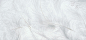 白色,轻盈,羽毛,羽绒,海报banner,质感,纹理图库,png图片,网,图片素材,背景素材,3731310@北坤人素材