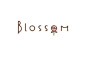 Blossom : Brand identity design for a Qatar based Flower business (outlets and online shop).