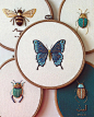 华丽的昆虫刺绣 | 刺绣艺术家 Humayrah Bint Altaf ​​​​