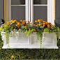 Devon Self-watering Window Box from Grandin Road