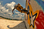 Running up a wall 
Parkour
跑酷，飞岩走壁