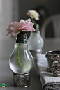 旧瓶子DIY创意组合花瓶和灯泡花瓶-创意生活,手工制作╭★肉丁网