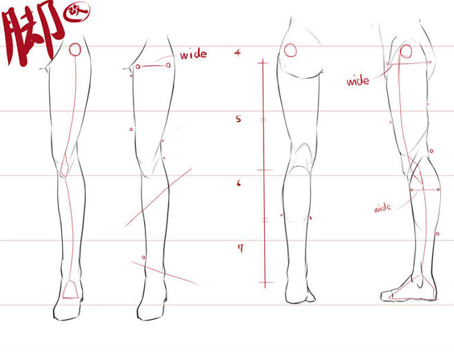 腿部画法基础讲座 – 画出协调的大腿根、...