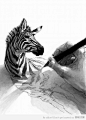 Illustration & Sketches : #Drawing zebra