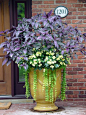 rough luxe: Luscious Container Gardens: 