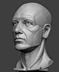 Planar simplified male head 3D Model 3D printable STL ZTL ...__头像  _T2020619 #率叶插件，让花瓣网更好用_http://ly.jiuxihuan.net/?yqr=13125244# _人头