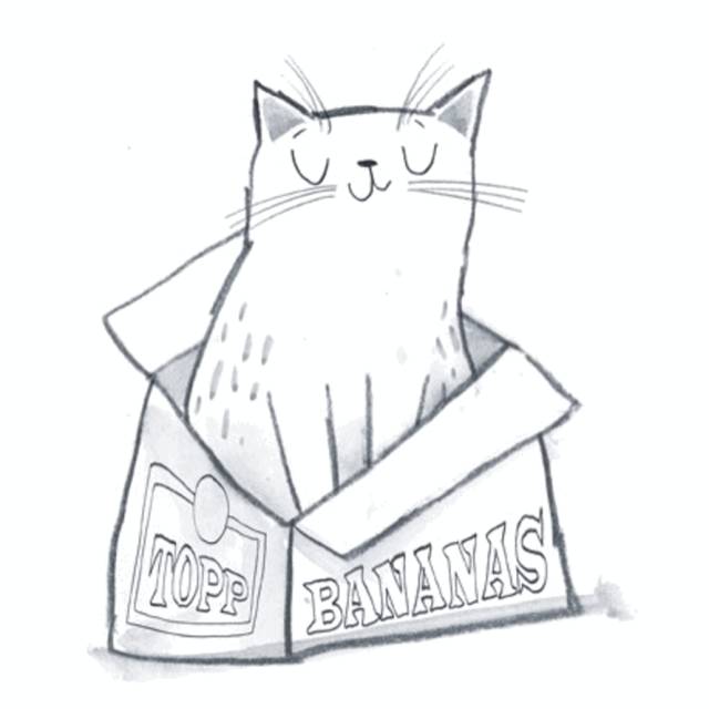 27d4b089737c80e0984a23f063d0defe0f9b7077619c-FKdfXh