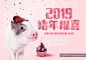 2019年金猪贺喜主题海报PSD模版素材 ti302a12411 :  