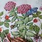 АКВАРЕЛЬ.Watercolor. (@miakishewaliza)的Instagram主页 · Tofo.me · 中文Instagram网页版