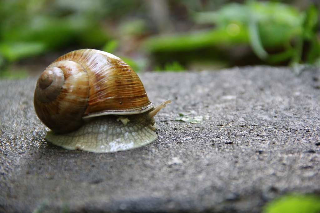 27f7e4949a599ebad69f9d4d9b1fcd598e6ef7ea32452-OzPVG8