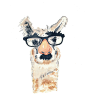 Llama Watercolour PRINT - Fake Nose Glasses, Animal Painting, Llama illustration, 8x10 Print