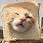 面包好吃吗