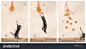 cat and oranges - 站酷海洛正版图片, 视频, 音乐素材交易平台 - Shutterstock中国独家合作伙伴 - 站酷旗下品牌