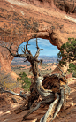 Arches National Park, Utah