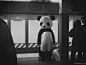 孤独症、黑白、熊猫、孤独、lonely