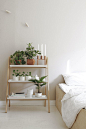 tiered nightstand with lots of plants